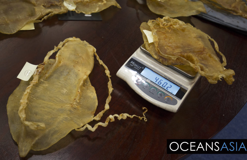 Read more about the article China busts totoaba smuggling ring, seizes swim bladders worth US $26 million