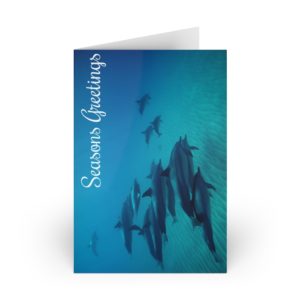 Dolphin Seasons Greeting Cards (10-pcs)